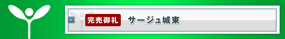 【完売御礼】サージュ城東